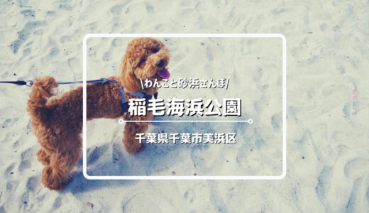 「稲毛海浜公園」は犬連れにオススメ！カフェや写真スポット、駐車場の行き方まで徹底的にご紹介！【千葉県千葉市】