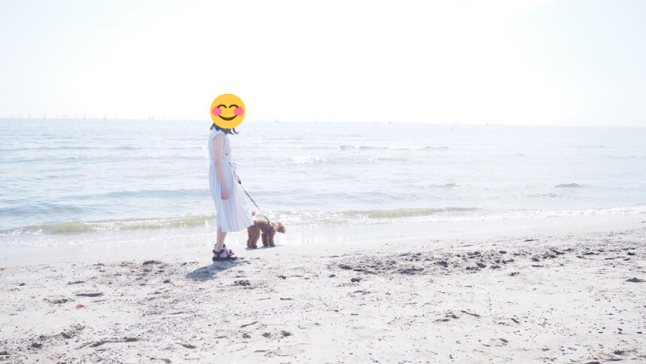 稲毛海浜公園 いなげの浜 犬