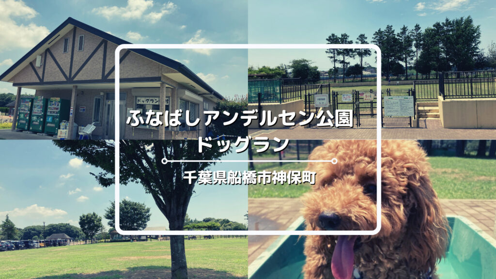 関東 犬連れ ふなばしアンデルセン公園ドッグランについてご紹介 ハルから目が離せない