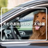 買ってよかった！犬とのお出かけやお散歩におすすめのグッズ10選をご紹介！