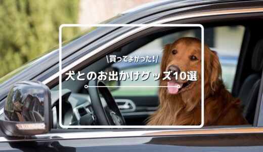 買ってよかった！犬とのお出かけやお散歩におすすめのグッズ10選をご紹介！