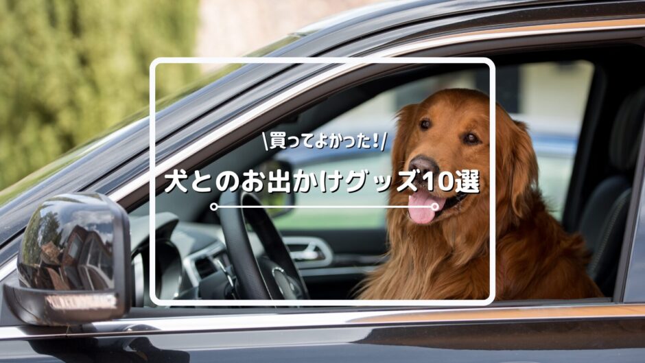 買ってよかった！犬とのお出かけやお散歩におすすめのグッズ10選をご紹介！