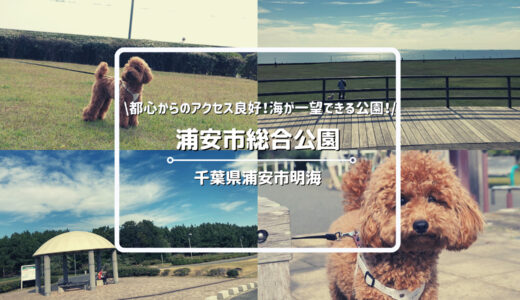 【千葉県浦安市】犬と楽しめる公園「浦安市総合公園」についてご紹介！