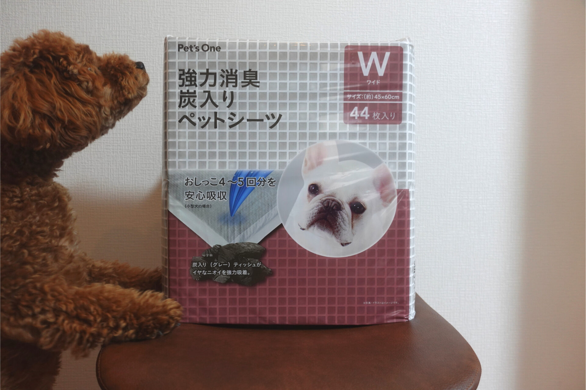 Pet