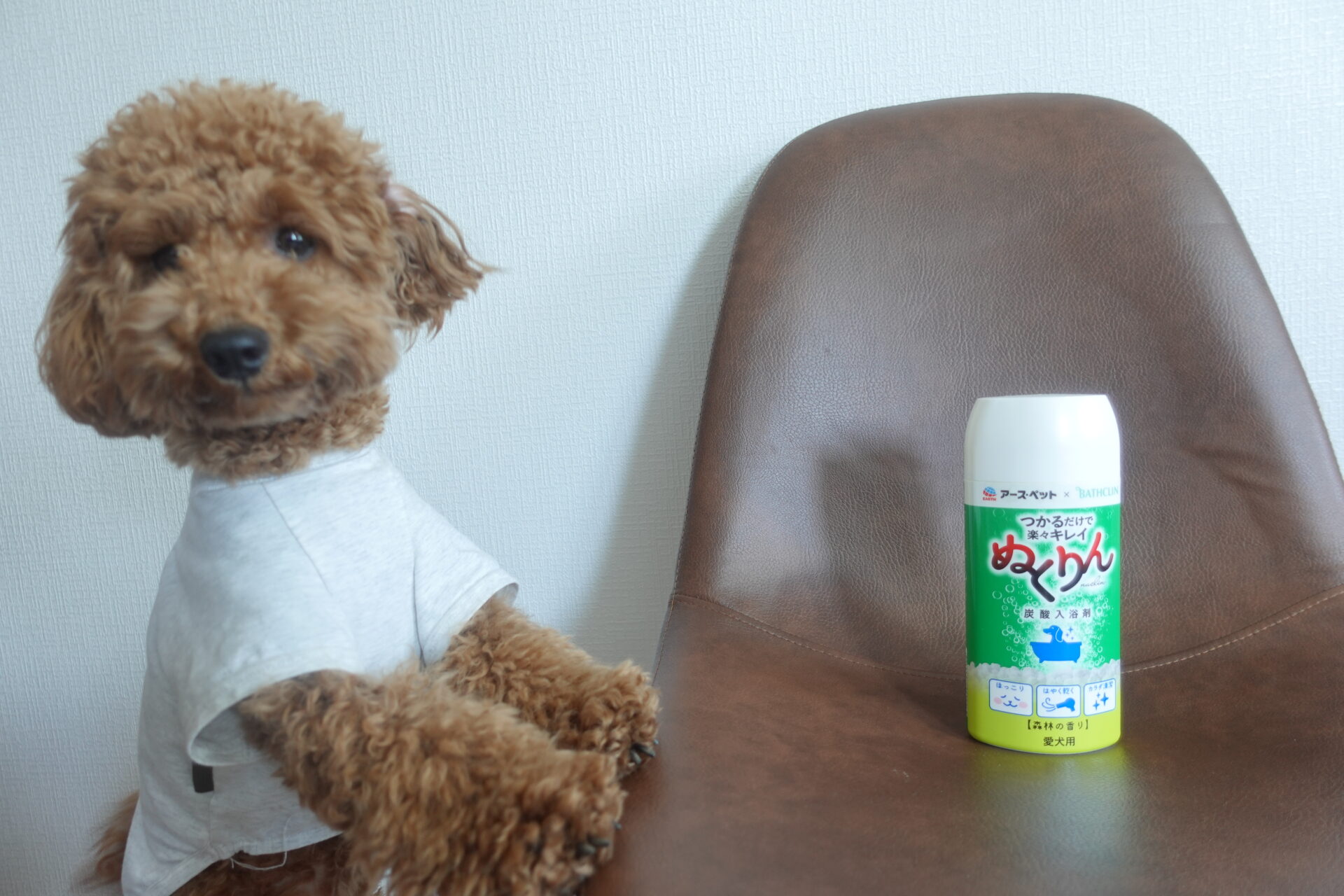 【アースペット】犬用の入浴剤ぬくりんの評判や口コミは？使用方法と感想をレビュー！ ハルから目が離せない