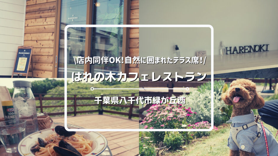 【関東・犬連れ】わんこと楽しめる千葉県八千代市のはれの木カフェレストランについてご紹介！