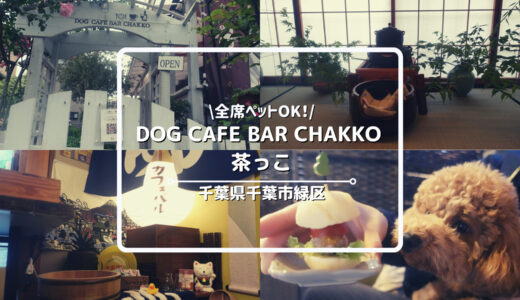 ドッグカフェ「DOG CAFE BAR CHAKKO 茶っこ」についてご紹介！【千葉県千葉市】