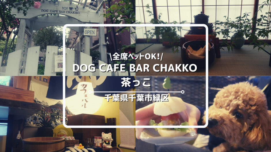 【関東・犬連れ】千葉県のドッグカフェDOG CAFE BAR CHAKKO 茶っこついてご紹介！