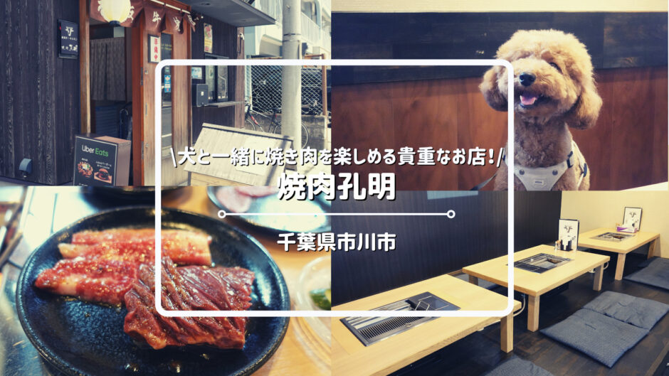 【関東・犬連れ】千葉県市川市の犬と行ける焼肉屋さん「焼肉孔明」についてご紹介！