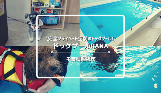 犬専用のプール施設「ドッグプールRANA」についてご紹介！【千葉県船橋市】