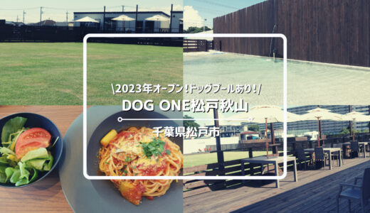 ドッグラン「DOG ONE松戸秋山」についてご紹介！｜レストランとプールがあるので1日中楽しめます