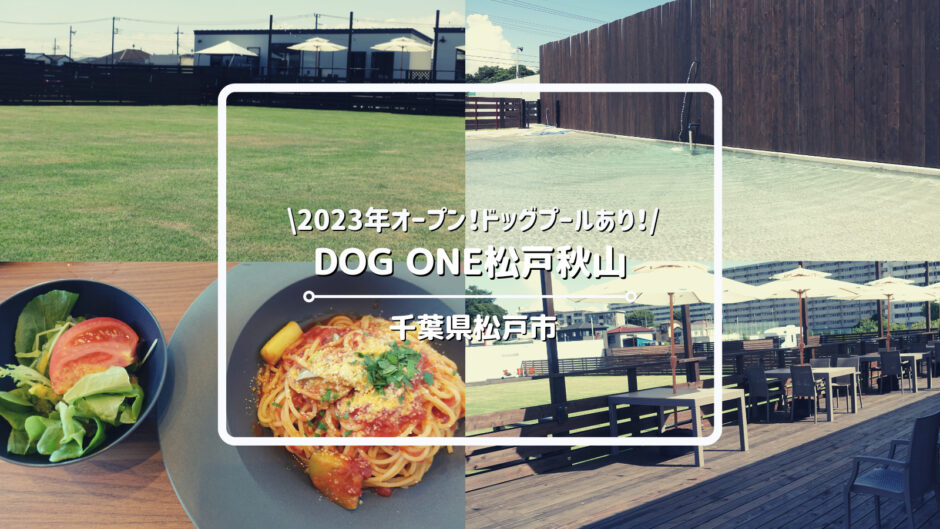 【2023年8月17日オープン】ドッグラン「DOG ONE松戸秋山」についてご紹介！｜レストランとプールがあるので1日中楽しめます