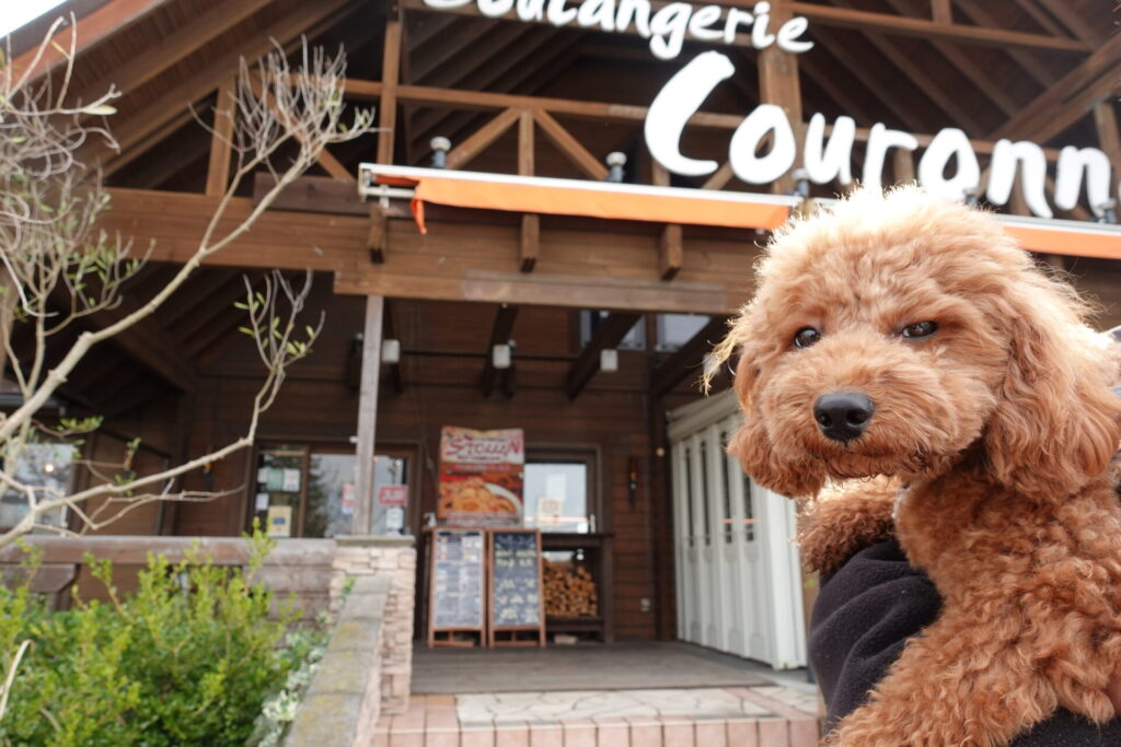 Cafe Boulangerie Couronne CHIBA-NEW（カフェブーランジェリー・クーロンヌ・チバニュー）犬