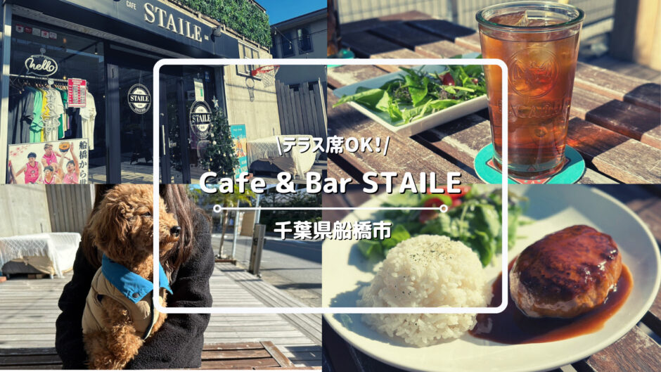 犬と行けるカフェ「Cafe&Bar STAILE」についてご紹介！【千葉県船橋市】｜ららぽーと東京ベイから徒歩3分｜