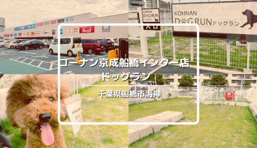 コーナン京成船橋インター店ドッグランについてご紹介！コーナンは犬連れも入店可能【千葉県船橋市】