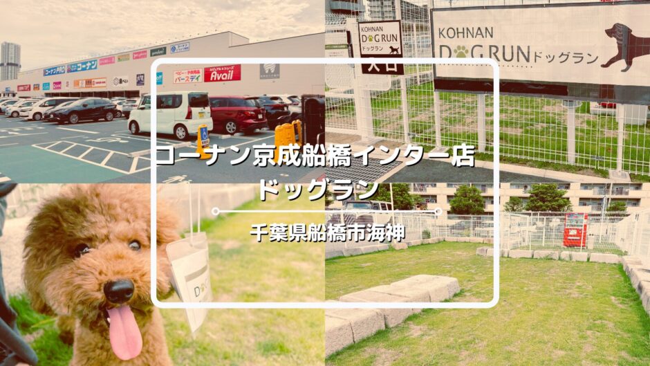 コーナン京成船橋インター店ドッグランについてご紹介！コーナンは犬連れも入店可能【千葉県船橋市】