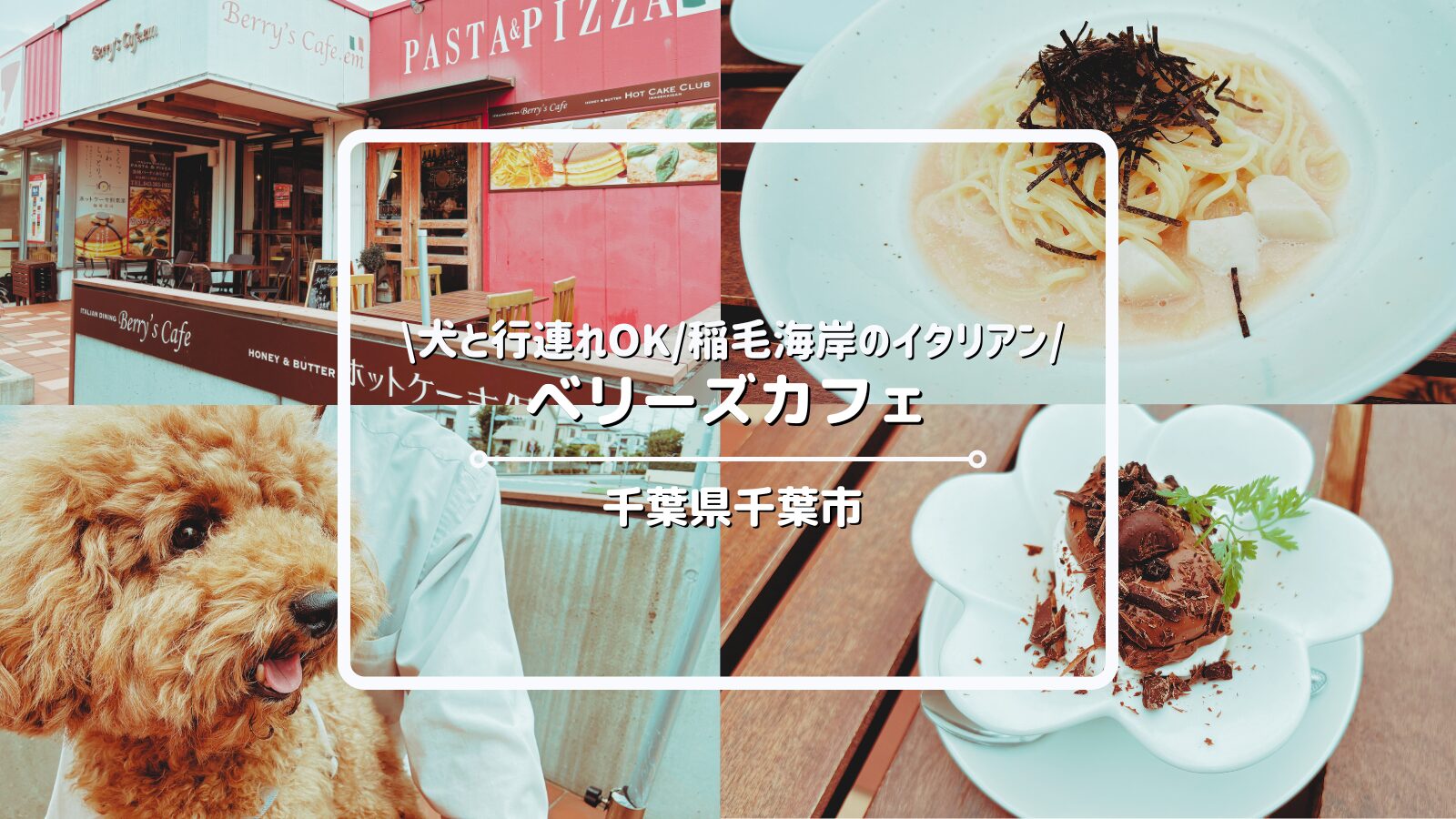 犬連れOKのイタリアン「ベリーズカフェ」についてご紹介！【千葉県千葉
