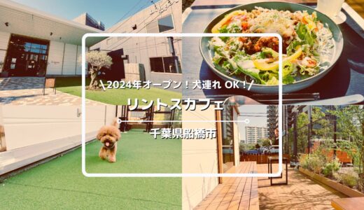 犬連れOKのオシャレカフェ「リントスカフェ」についてご紹介！【千葉県船橋市】