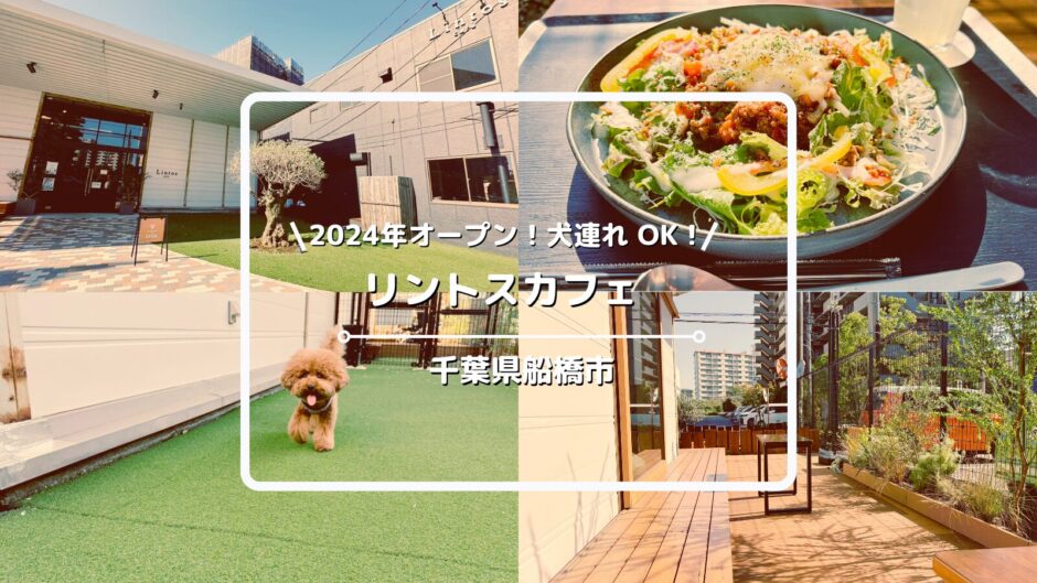 犬連れOKのオシャレカフェ「リントスカフェ」についてご紹介！【千葉県船橋市】