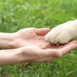 犬猫用肉球ジェル「FUREAi-ふれあい-」の口コミと評判は？特徴から注文方法までご紹介！