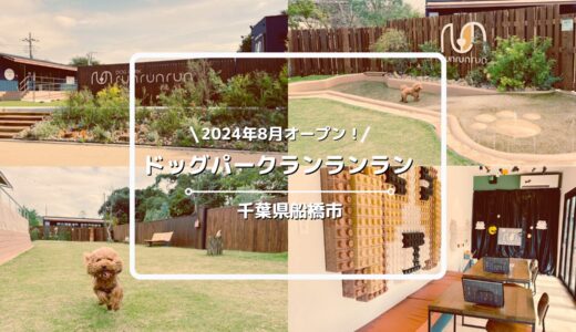 【2024年8月オープン】ドッグラン「ドッグパークランランラン」（DOG PARK runrunrun）をご紹介！【千葉県船橋市】