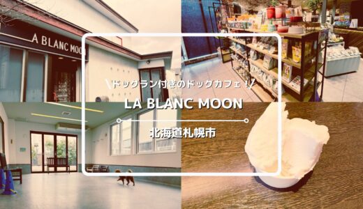 犬連れOKのドッグカフェ「LA BLANC MOON（ラ・ブランムーン」についてご紹介！室内ドッグランあり！【北海道札幌市清田区】
