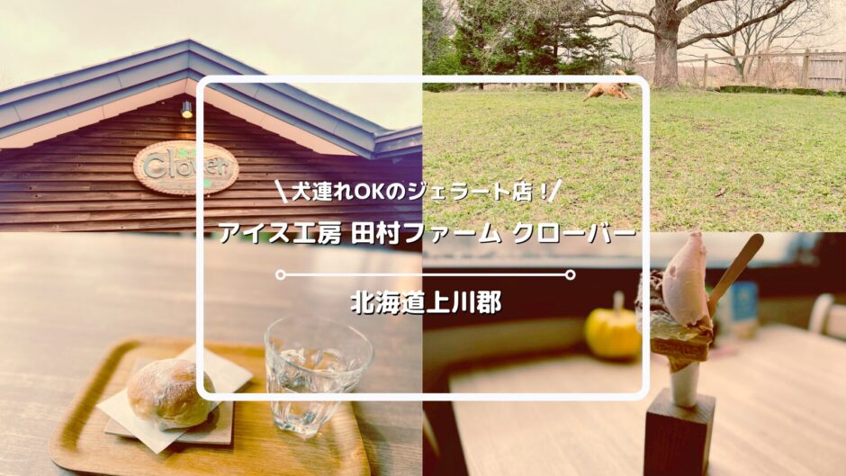 犬連れOKのジェラート屋さん「アイス工房 田村ファーム クローバー（Clover）」についてご紹介！ドッグランあり！【北海道上川郡東神楽町】
