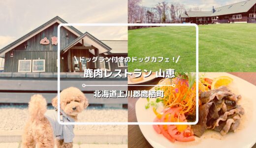 犬連れOKの鹿肉レストラン「山恵」についてご紹介！ドッグラン・ドッグカフェあり【北海道上川郡鷹栖町】