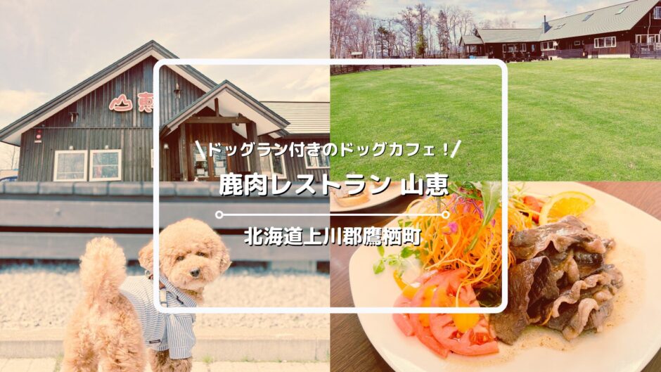 犬連れOKの鹿肉レストラン「山恵」についてご紹介！ドッグラン・ドッグカフェあり【北海道上川郡鷹栖町】