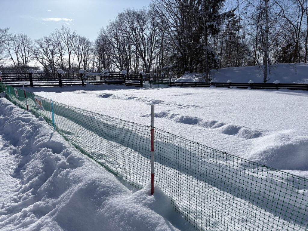 鹿肉レストラン 山恵 ドッグラン 冬 小型犬