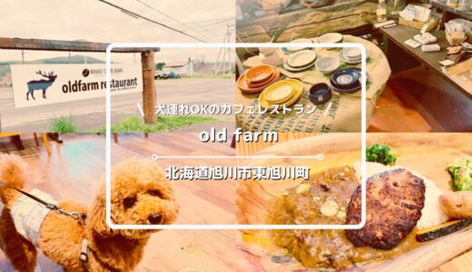 犬連れOKのカフェレストラン「old farm（オールドファーム）」についてご紹介！【北海道旭川市東旭川町】