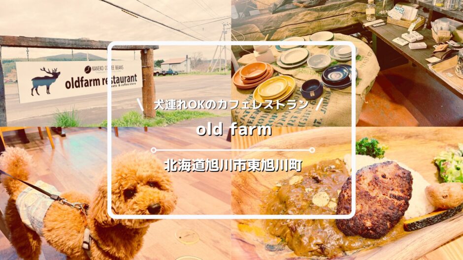 犬連れOKのカフェレストラン「old farm（オールドファーム）」についてご紹介！【北海道旭川市東旭川町】
