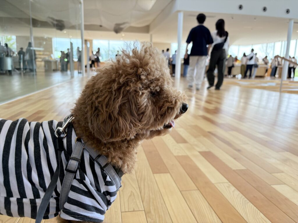 SHIRO砂川本店 みんなの工場 犬