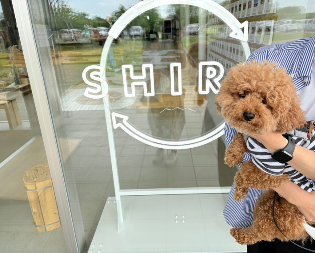 SHIRO砂川本店 みんなの工場 犬 トイプードル