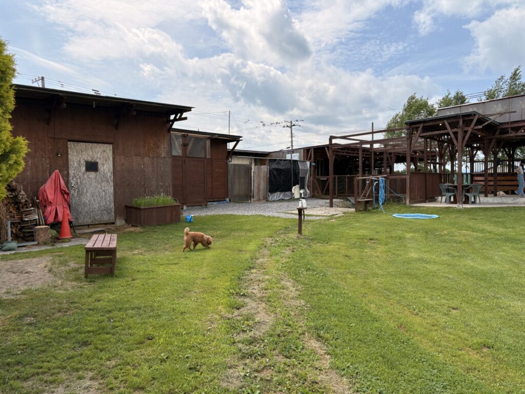 旭川 ローズドッグラン ほのぼのゾーン