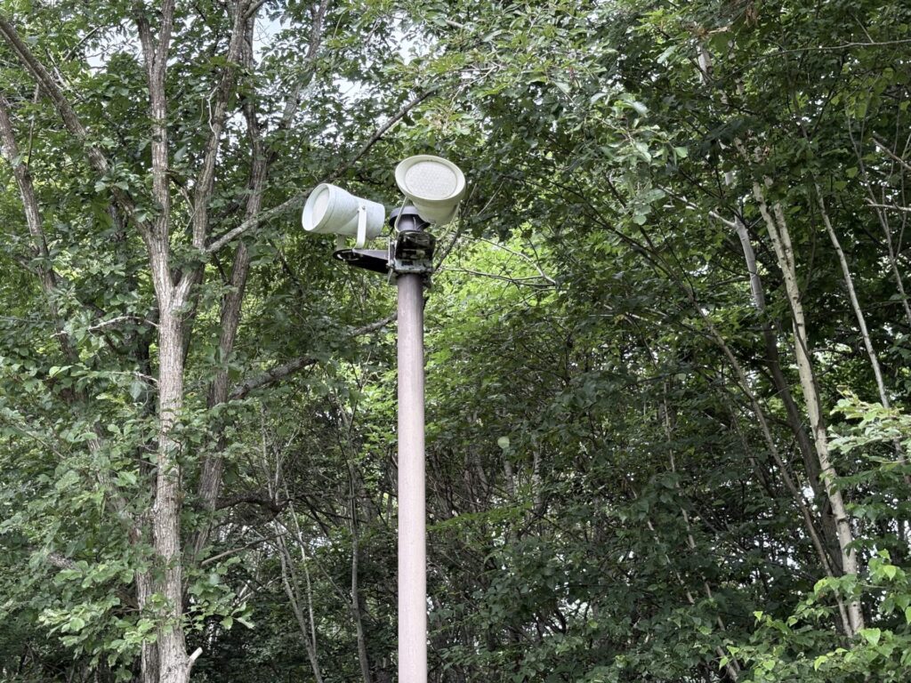 パークランド嵐山 ドッグラン 小型犬用