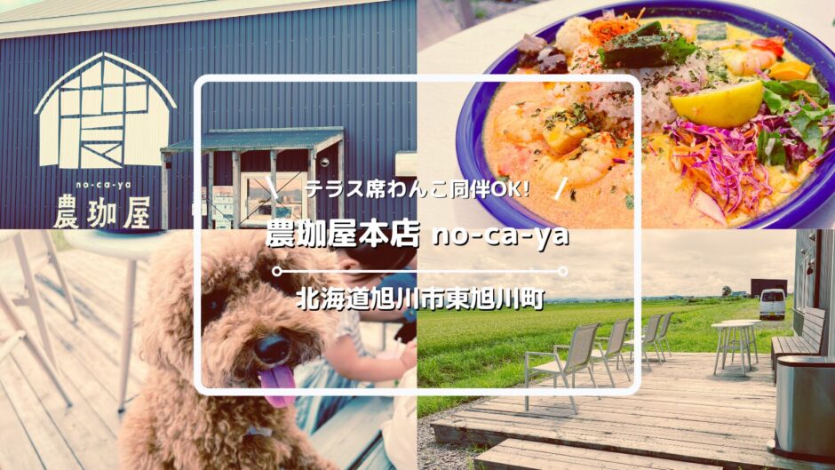 犬連れOKのカレー専門店「農珈屋本店 no-ca-ya」についてご紹介！【 北海道旭川市東旭川町上兵村】