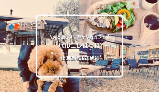 犬連れOKのカフェ「ハルニレぽっぽ」についてご紹介！【北海道旭川市旭神】