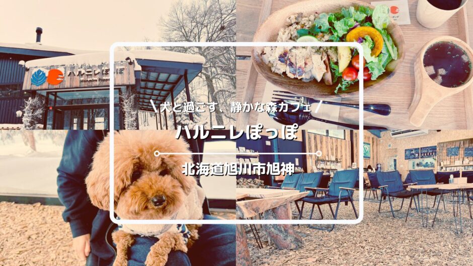 犬連れOKのカフェ「ハルニレぽっぽ」についてご紹介！【北海道旭川市旭神】