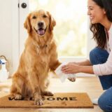 犬の散歩後の足を洗うのがめんどくさい！負担を減らすコツと正しいケア