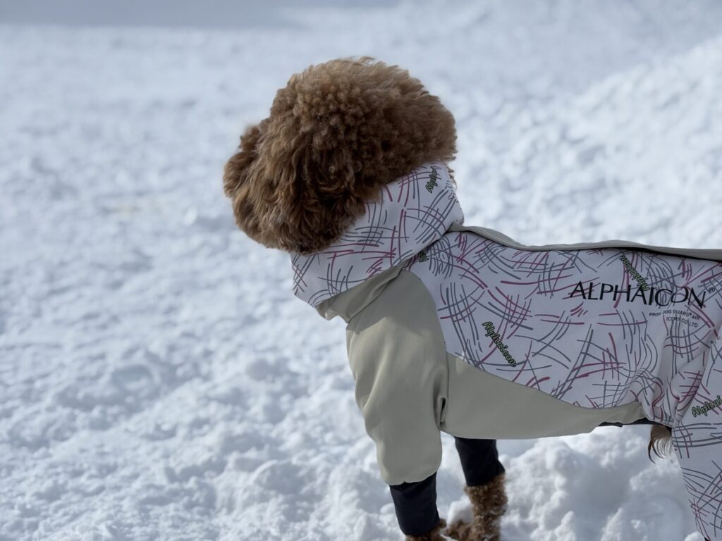 アルファアイコン ドッグガードエア 雪 トイプードル