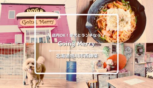 犬連れOKのカフェ「Going Merry」についてご紹介！【北海道旭川市西神楽地区】