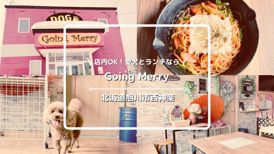 犬連れOKのカフェ「Going Merry」についてご紹介！【北海道旭川市西神楽地区】