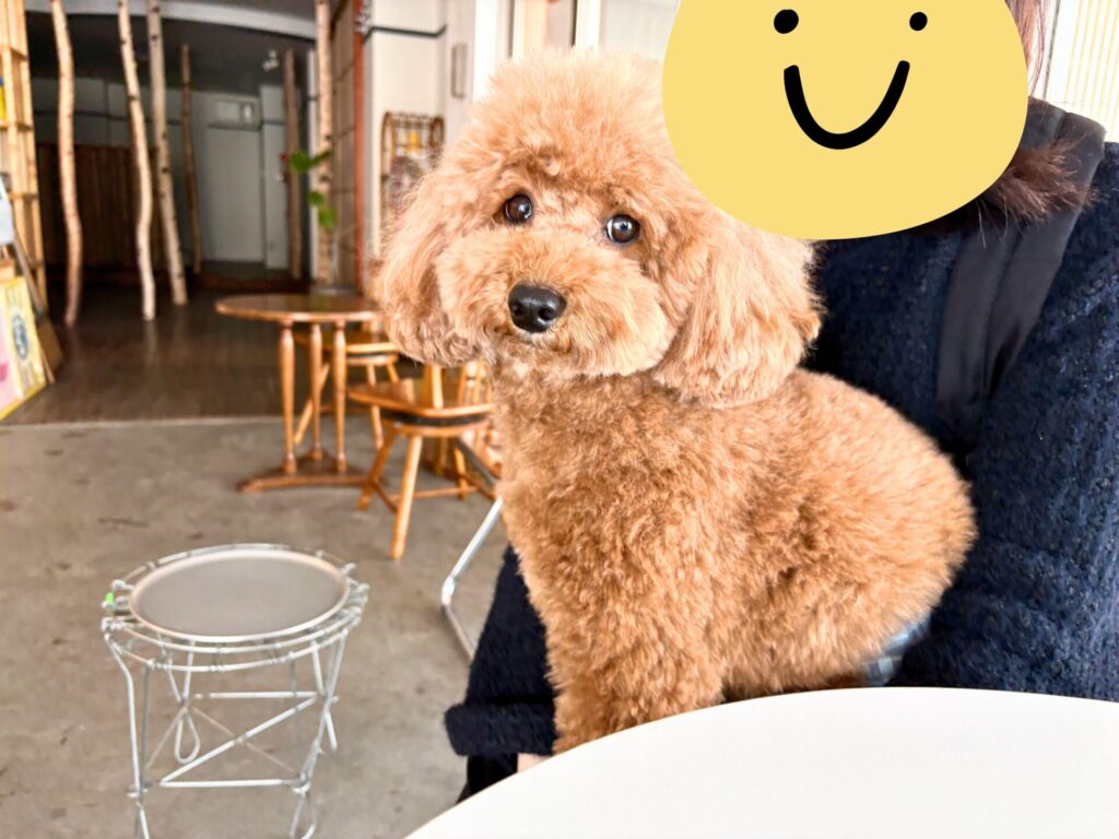 COFFEE STAND PLUS 店内 犬連れ 旭川市