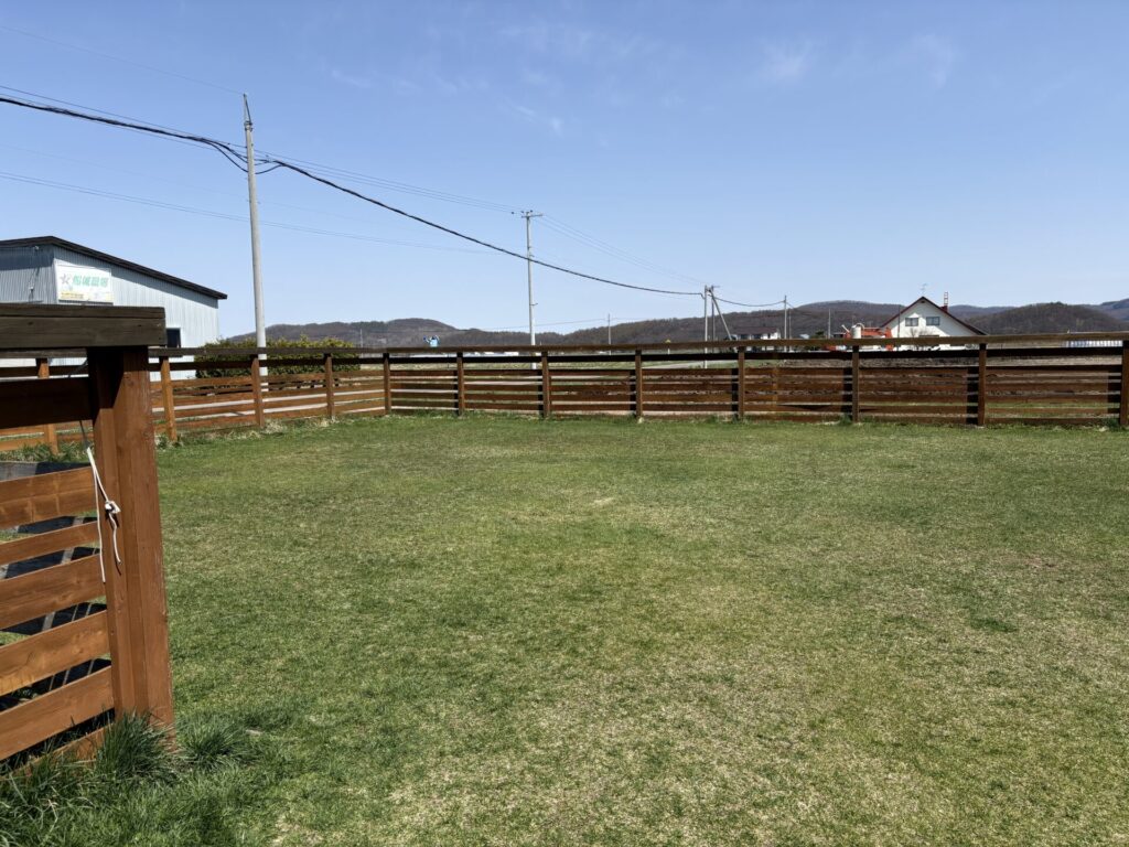 SUNNYSPOT カフェ店内 東川町