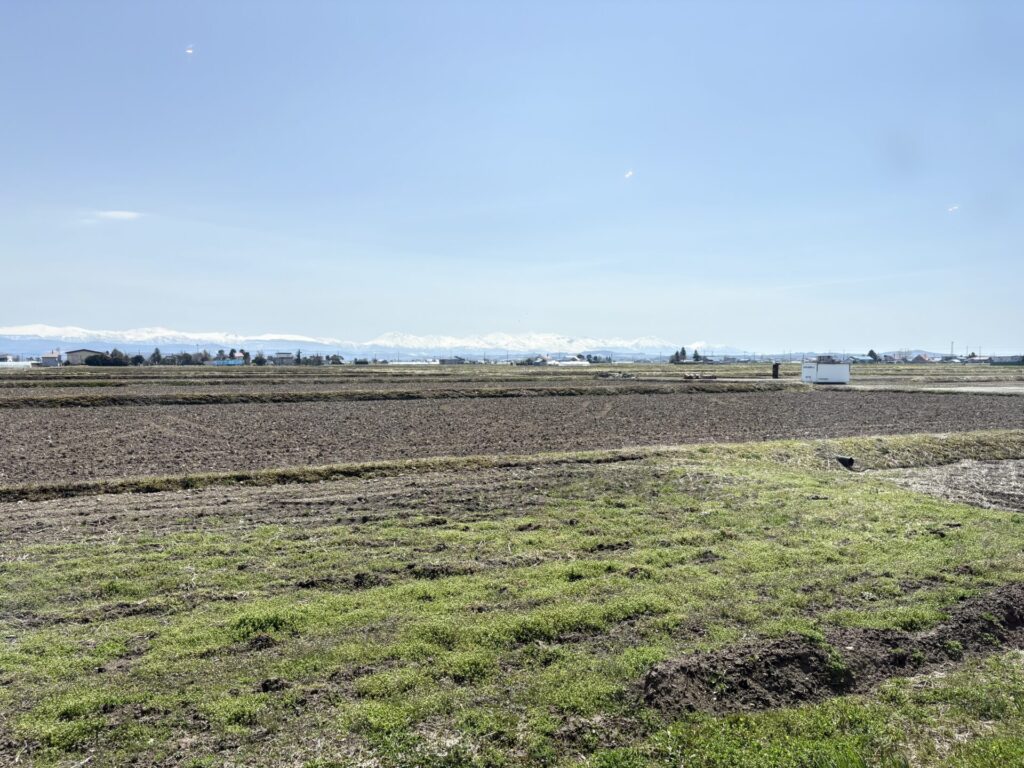 SUNNYSPOT 景色 東川