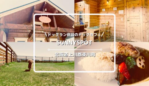 100坪ドッグラン付き！東川町のドッグカフェ「SUNNYSPOT（サニースポット）」を犬連れレビュー【旭川から車25分】
