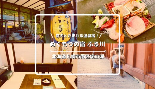 【宿泊ブログ】ぬくもりの宿ふる川に犬連れで1泊｜301号こぶし・夕食・ドッグラン全紹介