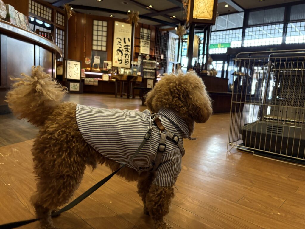 ぬくもりの宿ふる川 フロント 犬