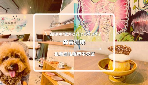 【札幌】森香珈琲は犬と入れるカフェ！中島公園近くのペットOK店レポ